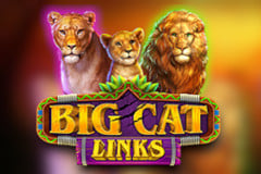 Big Cat Links