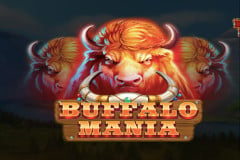 Buffalo Mania