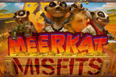 Meerkat Misfits