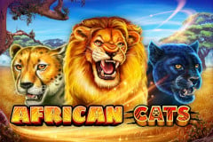 African Cats