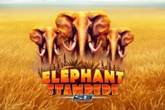 Elephant Stampede SE