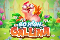 Go High Gallina