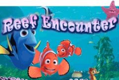 Reef Encounter