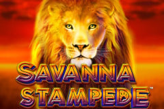 Savanna Stampede