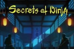 Secrets of Ninja