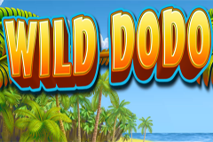 Wild Dodo