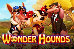 Wonderhounds