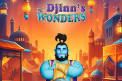 Mr. Djinn's Wonders