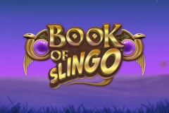 Book of Slingo