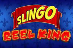 Slingo Reel King