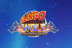 Slingo Wolf Snowstorm