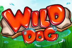 wild dog