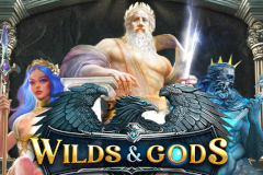 Wilds & Gods