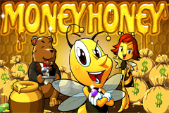 Money Honey Slot - Review & Play this Online Casino Game