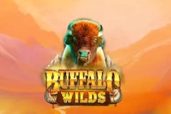 Buffalo Wilds