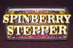 Spinberry Stepper