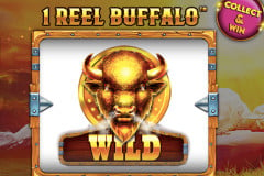 1 Reel Buffalo