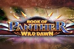 Book of Panther Wild Dawn