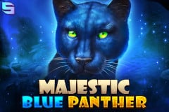 Majestic Blue Panther