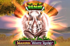 Majestic White Rhino