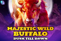 Majestic Wild Buffalo: Dusk Till Dawn