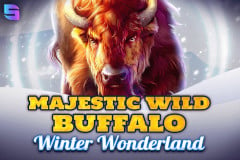 Majestic Wild Buffalo - Winter Wonderland