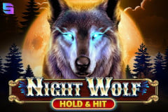 Night Wolf - Hold & Hit