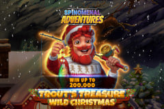 Trout's Treasure - Wild Christmas