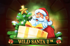 Wild Santa 2?