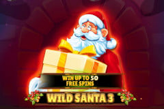 Wild Santa 3