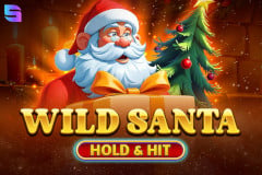 Wild Santa - Hold & Hit