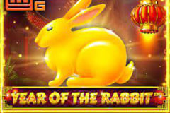 Year of the Rabbit