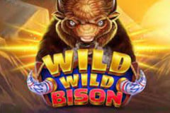 Wild Wild Bison