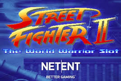 Street Fighter 2: The World Warrior