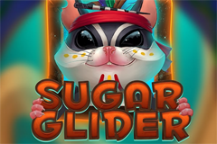 Sugar Glider