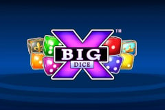 Big X Dice™