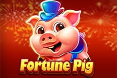 Fortune Pig