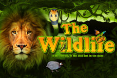 The Wildlife