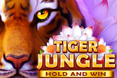 Tiger Jungle