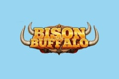 Bison vs Buffalo