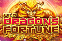 Wild Dragon's Fortune