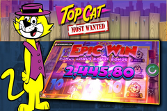 Top Cat Most Wanted