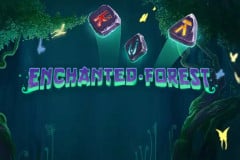 Enchanted Forest