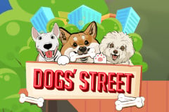 Dog Street