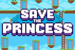 Save the Princess