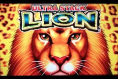 Ultra Stack Lion