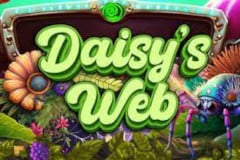 Daisy's Web