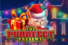 The Purrfect Present