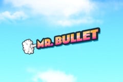 Mr. Bullet