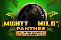 Mighty Wild Panther